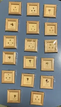 ミニ額 フォトフレーム 17個セット(訳あり)