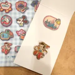 ディズニーリゾート ピンコレクション