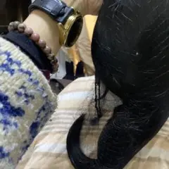 Item thumbnail for item 3476d5b2-d3d4-4af3-8783-8d572c93d296