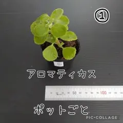 富岡義勇☆彡⚠️プロフィール必読⚠️様 リクエスト 3点 まとめ商品
