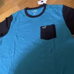 HOLLISTER Tシャツ