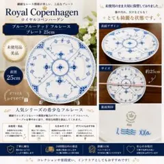 未使用】ロイヤルコペンハーゲン ブルーエレメンツ サービングボード