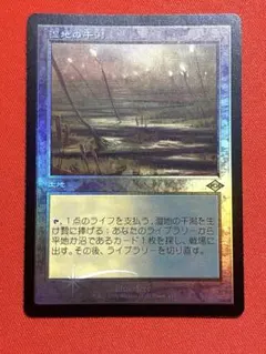 2026年最新】湿地の干潟/marsh flatsの人気アイテム - メルカリ