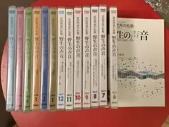 フースラーメソッド　武田梵声　野生の声音 13枚セット