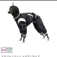 ピムリコ　イタグレポンチョ　ＩＭ 242300_b.jpg