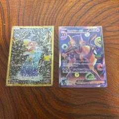 コイキング ミュウツーex 2枚セットおまけつけます