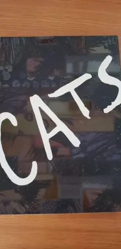 CATSパンフレット2006