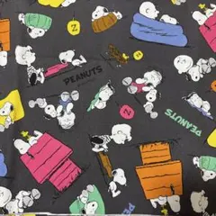 約縦48×100㎝　SNOOPY 生地　はぎれ