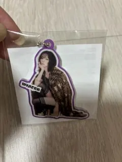 aespa ランダムトイ ウィンター ミニアクリルキーホルダー