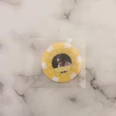 カジノクラフト　KUNコイン 黄色