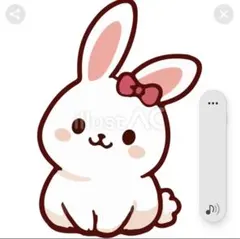 ♡lily様専用♡