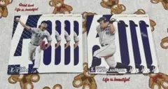 野球チップス 埼玉西武ライオンズ スターカードセット