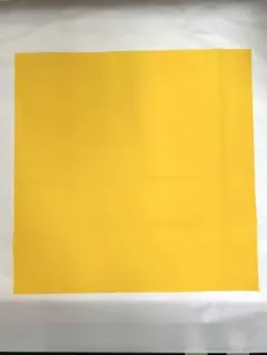 ウコン布5枚セット 40cm×40cm