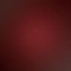 のんたん様専用ページ タオル&vip特典