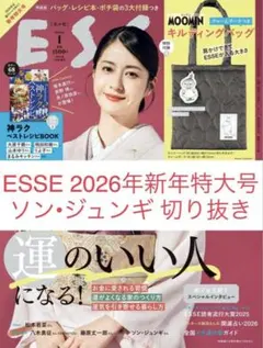 ソン•ジュンギ 切り抜き ESSE