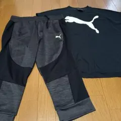 PUMA トレーニングウェアセット Lサイズ