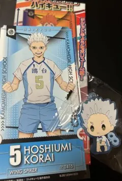 ハイキュー‼︎ 星海光来
