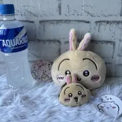 ちいかわ　うさぎ　ぬいぐるみ パスケースポーチ 定期入れ & がま口コインケース