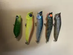 チニングポッパーのサムネイル
