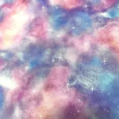 ゆみたん様専用