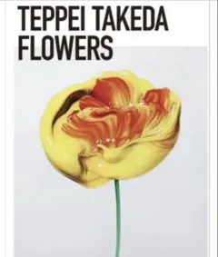 限定100部 武田鉄平 直筆サインEDナンバー入り FLOWERS ③ - メルカリ