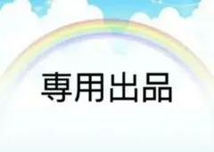 ヒロさん様専用