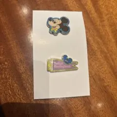 ディズニー　ピンコレクション　ミッキー・ディズニーランド