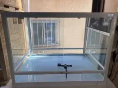 Item thumbnail for item 6b5fd9e8-1197-465c-8952-ca0d8024c38c