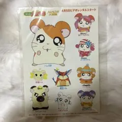 2025年最新】とっとこハム太郎ミニハムずの人気アイテム - メルカリ