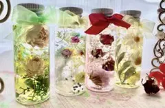 ミニハーバリウム　4点セット　ローズ　ヘリクリサム