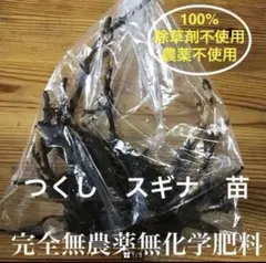リリー様 リクエスト 2点 まとめ商品