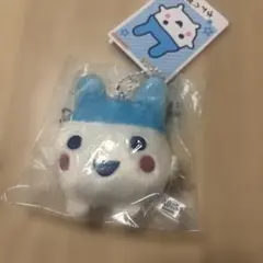 Item thumbnail for item 4cdc5a10-c25c-4912-99da-749352731968