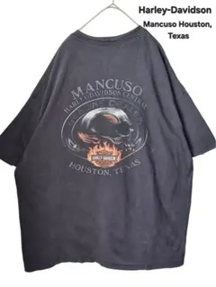 ​【3XL超希少】ハーレーダビッドソン 州限定 両面プリント Tシャツ スミクロ