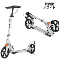 Item thumbnail for item b2c4cde7-4078-41ae-8916-4803c87ab904