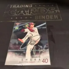 Item thumbnail for item c0c23e2c-41ad-41c8-b499-6dc505a487b7