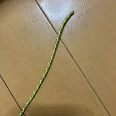 Item thumbnail for item b1ef98be-7f63-434c-be42-c06b932c54a4