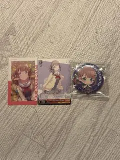 プロセカ 望月穂波トレーディングカード＆缶バッジセット