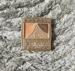 キャンメイク　ジューシーピュアアイズ06 廃盤