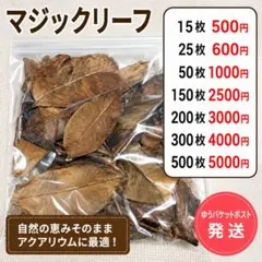 2026年最新】マジックリーフの人気アイテム - メルカリ