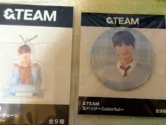 &TEAM HARUA セット売り