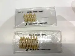 NISSIN B4-309B(20S) 歯科模型 乳歯 デンタルスタディモデル - メルカリ