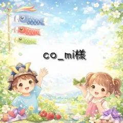 co_mi様 リクエスト 5点 まとめ商品