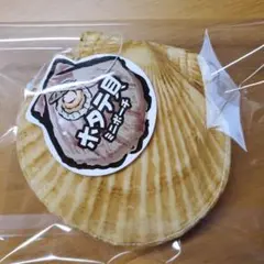 ホタテ貝ミニポーチ、小銭入れ☆リアル(大きさ約10cm)