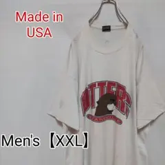 S78【USA製】フルーツオブザルーム　Tシャツ【メンズXXL】シングルステッチ