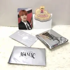 straykids スンミン　PuppyM ネームバッチ　ラントレ　特典カード