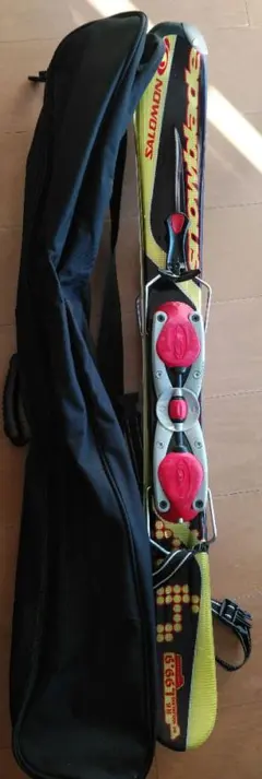 ディナスター TwinBoard ファンスキー ツインボード ショートスキー ディナスター TwinBoard ファンスキー ツインボード ショートスキー
