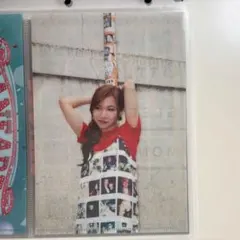 【組合購專用】LittleGleeMonster 透明文件夾