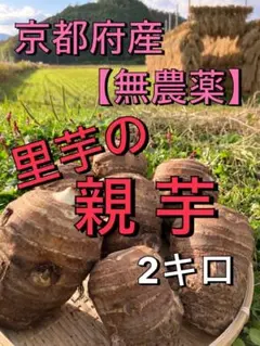 ⭐︎専用⭐︎里芋の親芋2キロとえび芋の親芋2キロ