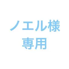 ノエル様 専用出品