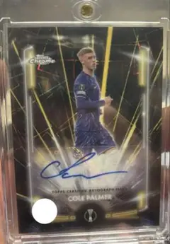 2025年最新】 palmer サインの人気アイテム - メルカリ